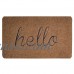 BIGA Welcome Mat Embroidered Entry Way Indoor and Outdoor Mat Monogram Script Hello Doormat, 18X30 Inch, Brown   